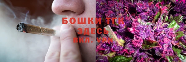 ПСИЛОЦИБИНОВЫЕ ГРИБЫ Богородск