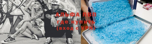 тгк Богданович