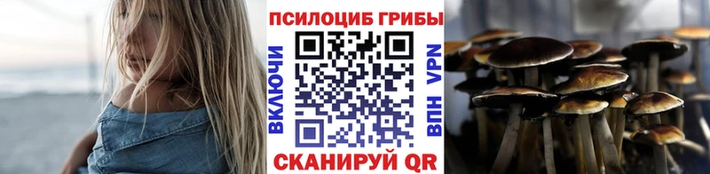 Галлюциногенные грибы ЛСД  дарк нет формула  Киселёвск 